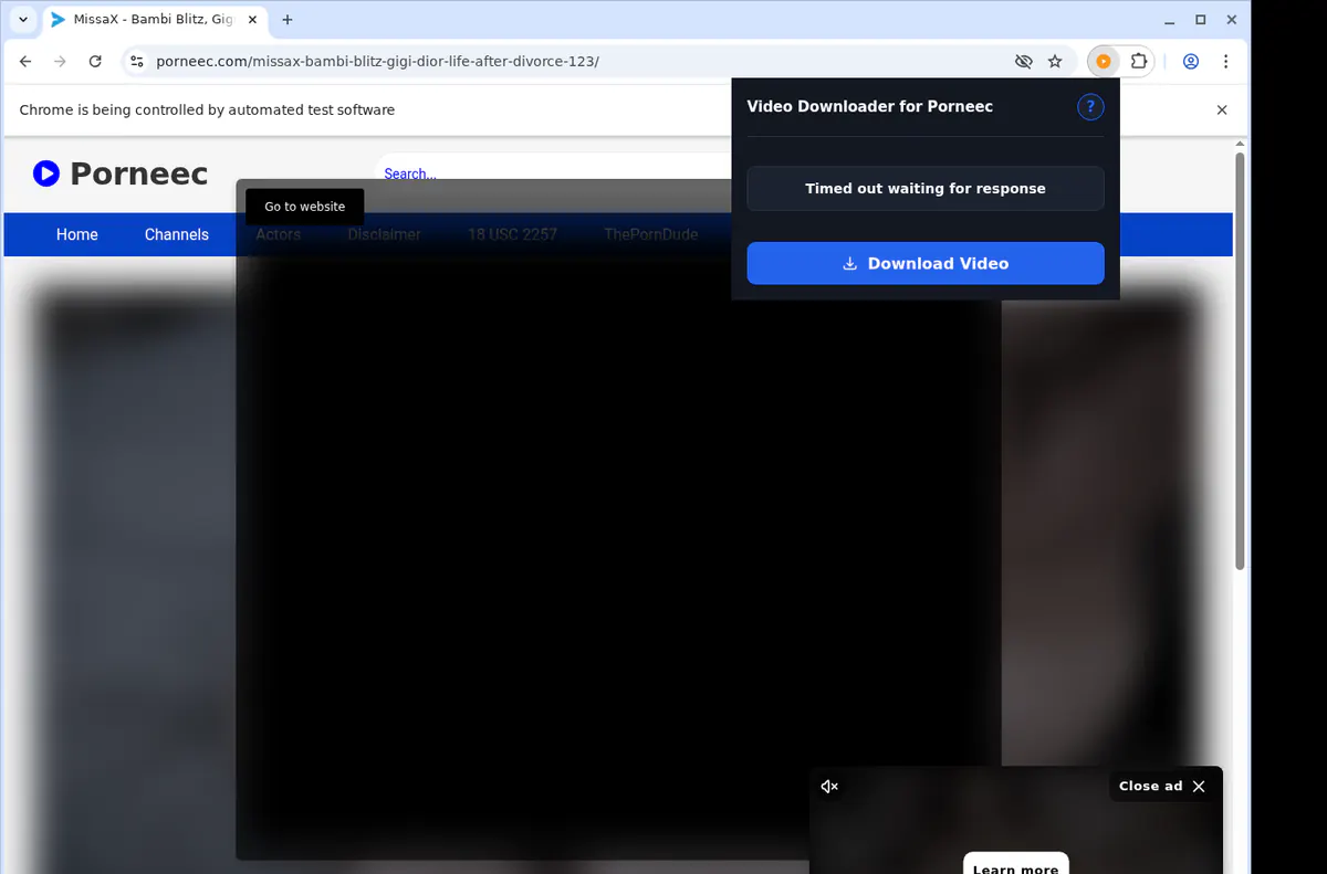 Porneec Video Downloader browser extension screenshot 2