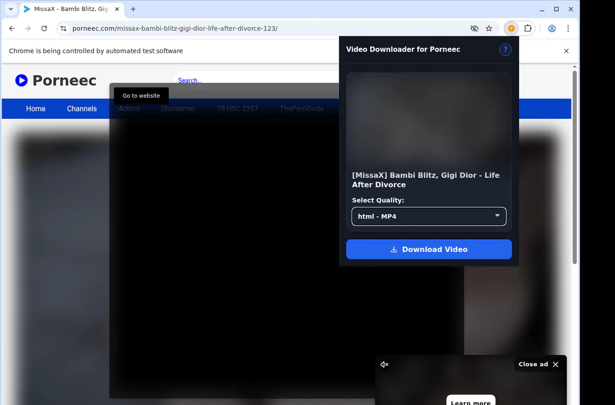 Porneec Video Downloader browser extension screenshot 3
