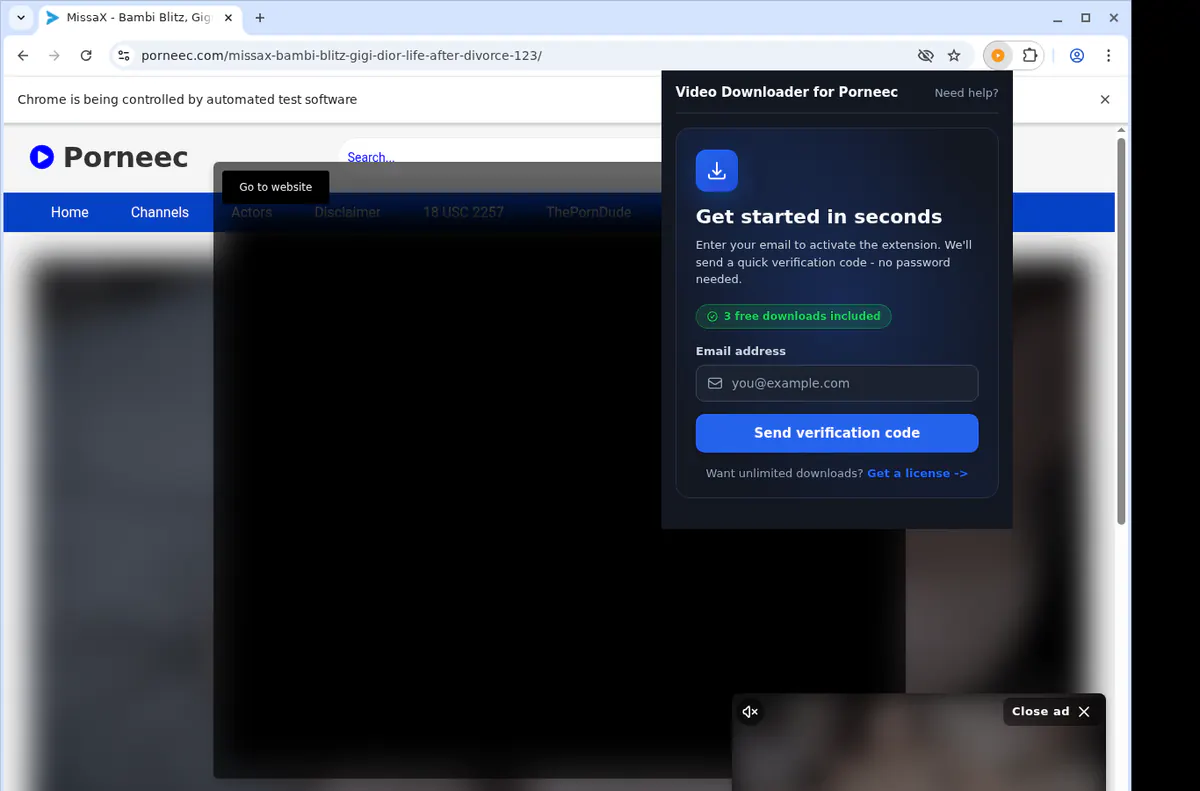 Porneec Video Downloader browser extension screenshot 5